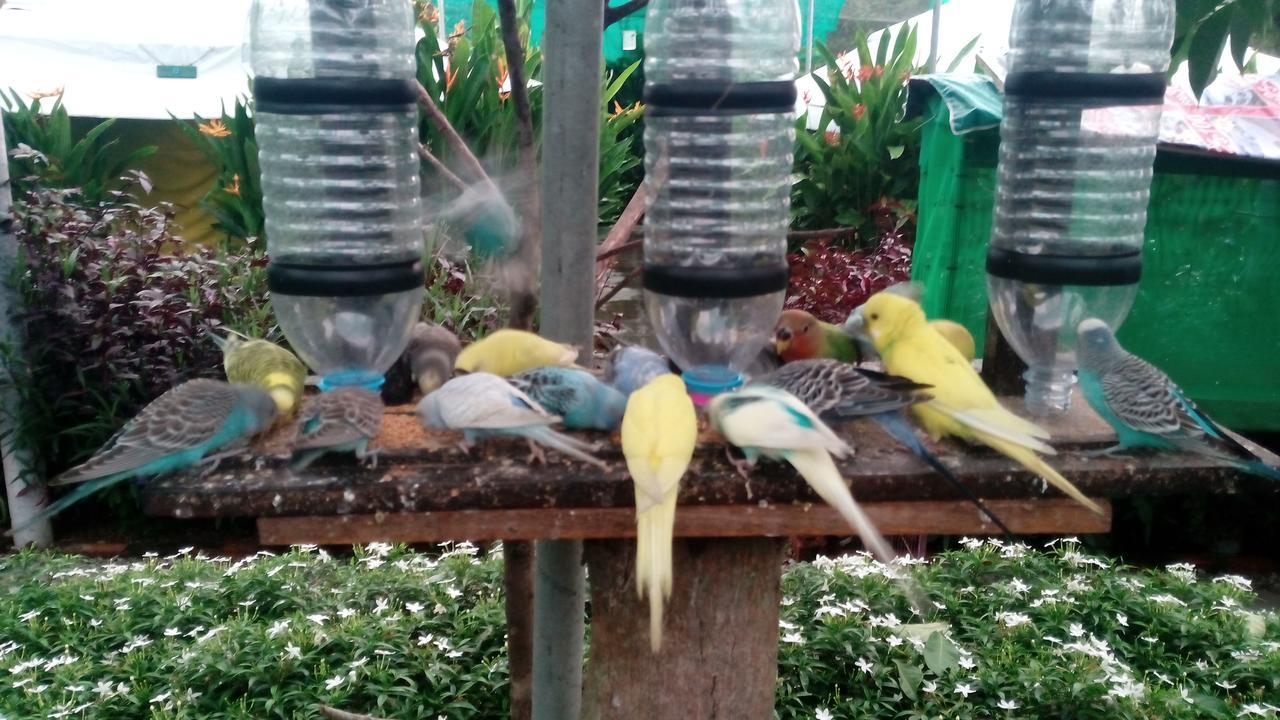 T Garden Villa ปันไตเจอนัง ภายนอก รูปภาพ