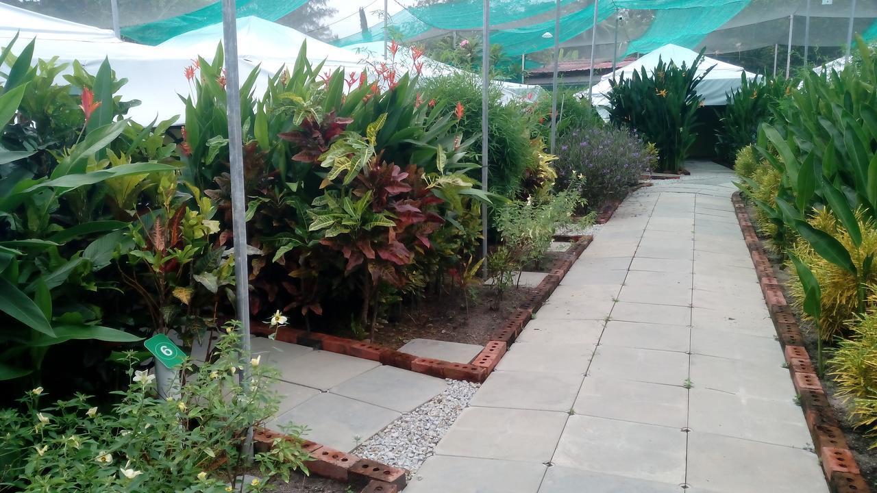 T Garden Villa ปันไตเจอนัง ภายนอก รูปภาพ