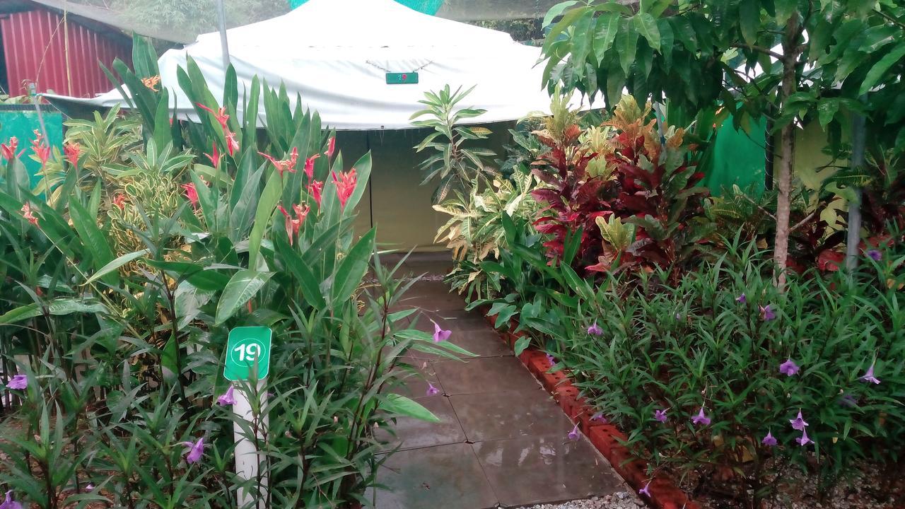 T Garden Villa ปันไตเจอนัง ภายนอก รูปภาพ
