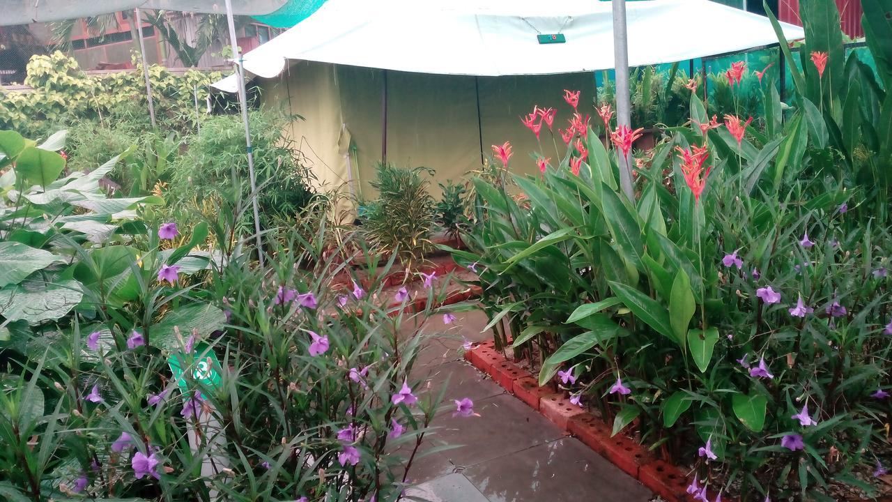T Garden Villa ปันไตเจอนัง ภายนอก รูปภาพ