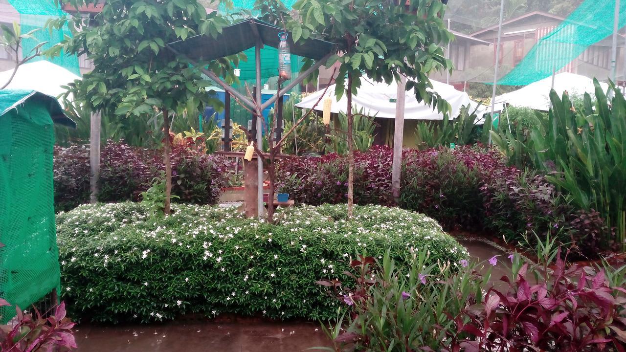 T Garden Villa ปันไตเจอนัง ภายนอก รูปภาพ